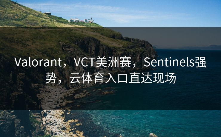Valorant，VCT美洲赛，Sentinels强势，云体育入口直达现场