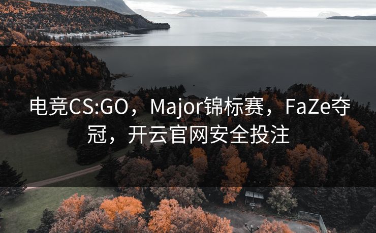 电竞CS:GO，Major锦标赛，FaZe夺冠，开云官网安全投注